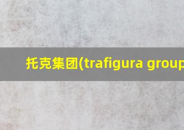 托克集团(trafigura group)